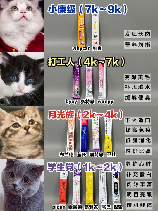 选热门猫条不做功课？等于慢性害猫！