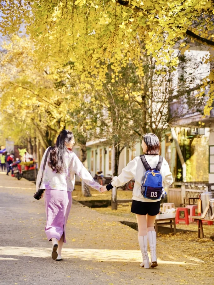 啄木鸟女士风衣