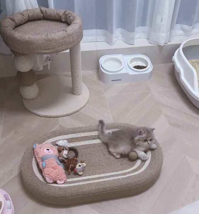 寶寶宠物食具水具