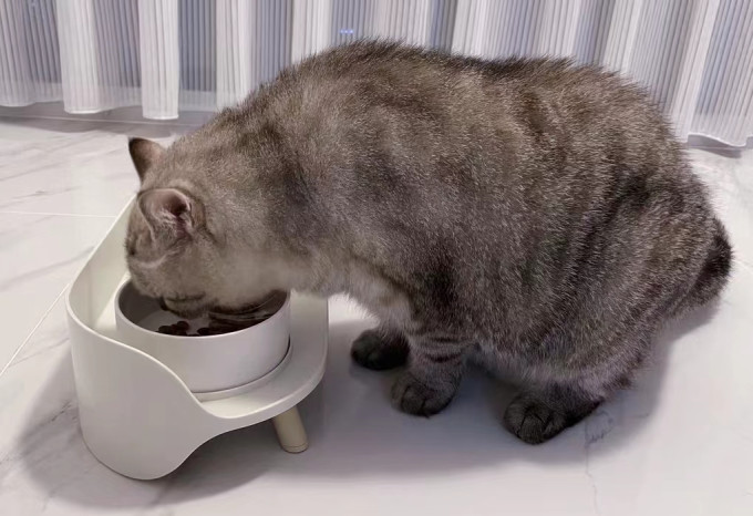 华元宠具通用食具水具