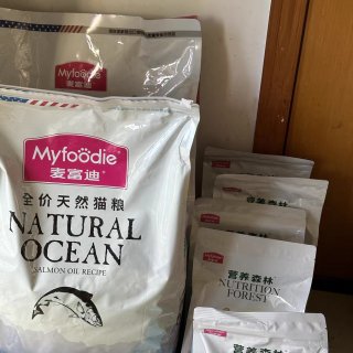 营养美味，麦富迪三文鱼油成幼猫粮，呵护猫咪成长