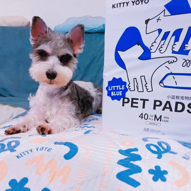 KittyYoyo小蓝框：宠物清洁好选择