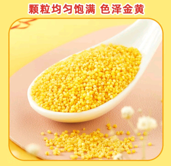 十月稻田谷物/杂粮/粥米