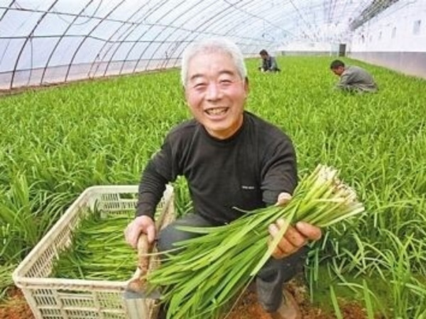 今天群里聊股票，一聊一个不吱声