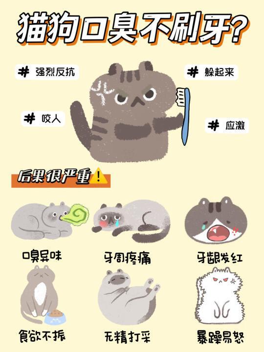 猫狗口臭不爱刷牙怎么办😰多亏我有它✅