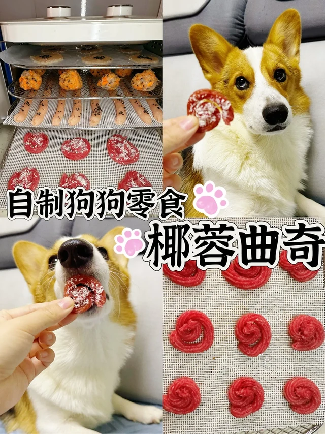 🐶自制狗狗零食|椰蓉曲奇。🐾Hi～今天来分享一下自制的狗狗小零食～椰蓉曲奇🫶
💥所需食材：🐔鸡胸肉、椰蓉、果蔬粉
💥制作方法：
1⃣️将鸡胸肉打成泥用果蔬粉调色
2⃣️装入裱花袋，在烤盘上挤出形状
3