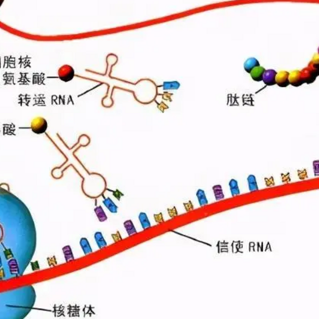 今年的诺奖不简单，能救命！