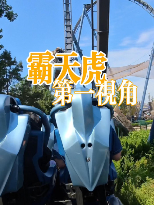 霸天虎第一视角