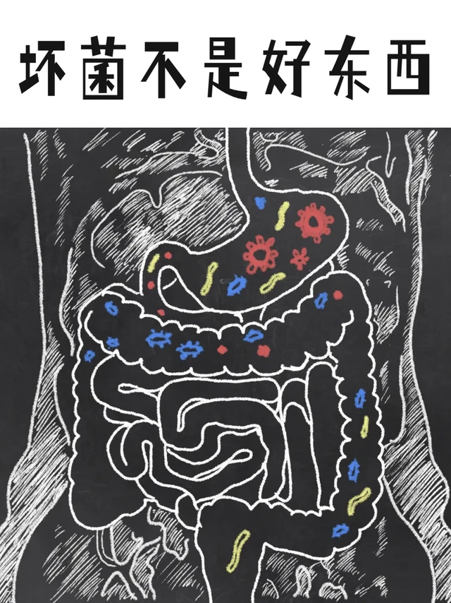 孩子的肠道有坏菌，但能不能不杀菌？