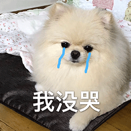 这些行为，在狗眼里就是“抛弃”，劝你别做