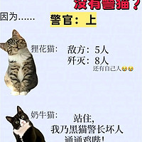 为什么只有警犬🐶，没有警猫嘞🐱？