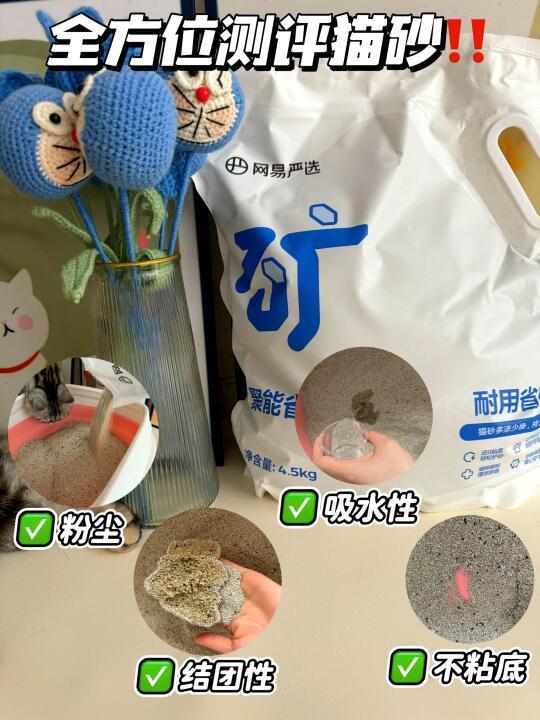 猫砂选购篇！多猫家庭选猫砂要看哪几点？