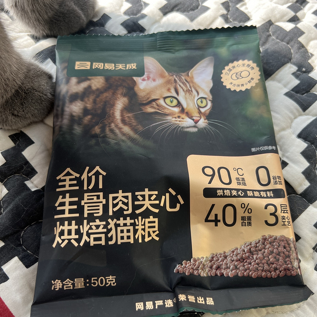 避雷这个猫粮，猫吃完一直在吐！