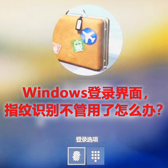 Windows笔记本电脑，指纹识别不管用了怎么办？