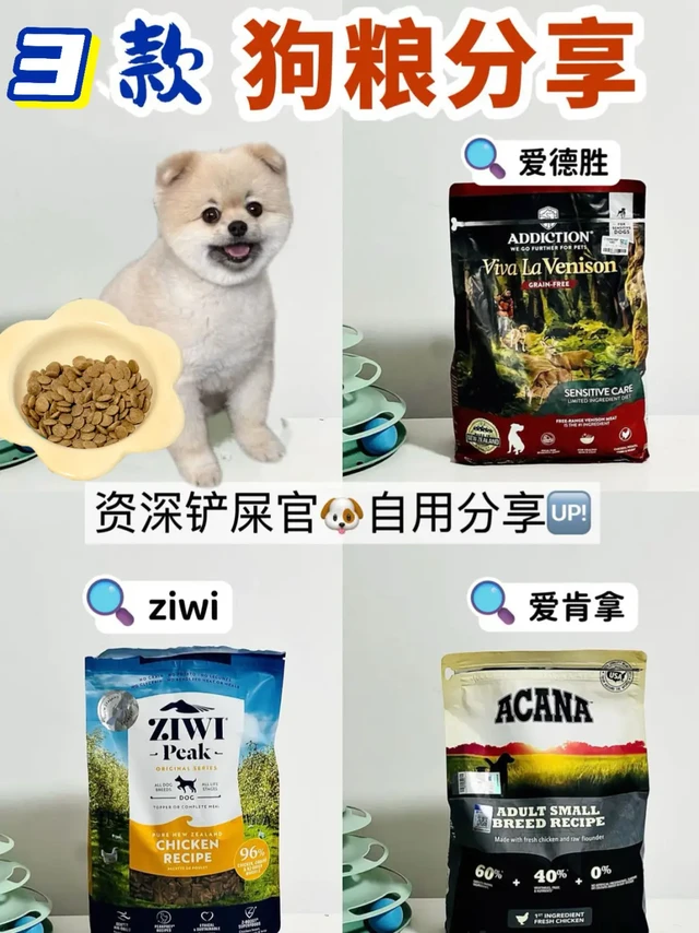 懒人是咋养狗狗的！注意事项请查看