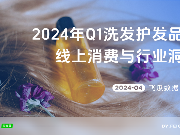 2024年Q1洗发护发品类线上消费与行业洞察