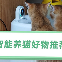 猫咪也爱高科技？这些智能养猫产品让主子乐翻天