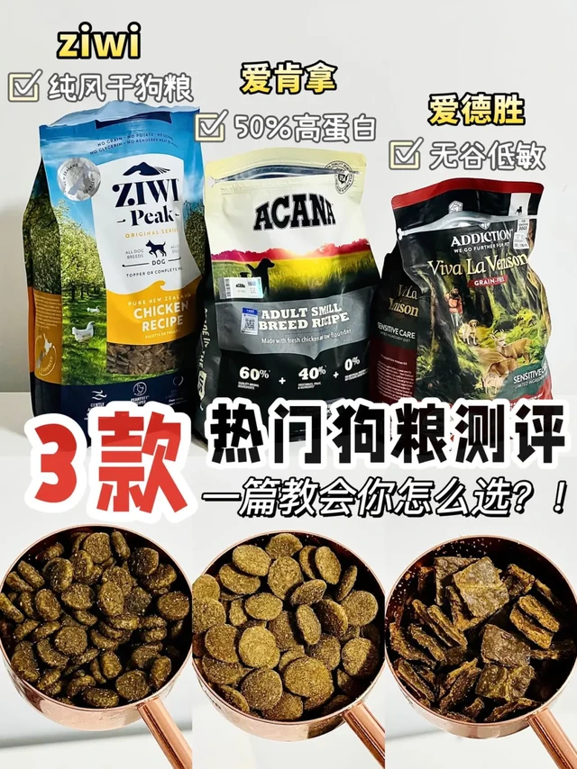 买狗粮的这些误区！养狗星人必看