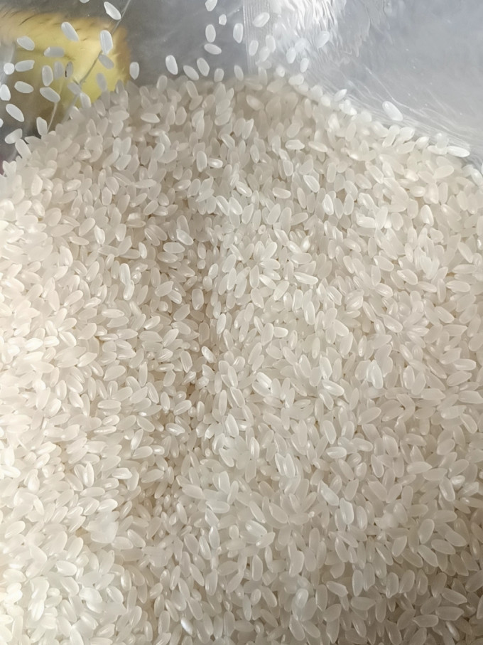 十月稻田大米