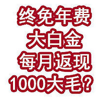 终免年费大白金，每月返现1000大毛？