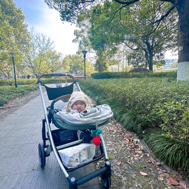 Uppababy Cruz一台入手不会后悔的婴儿车