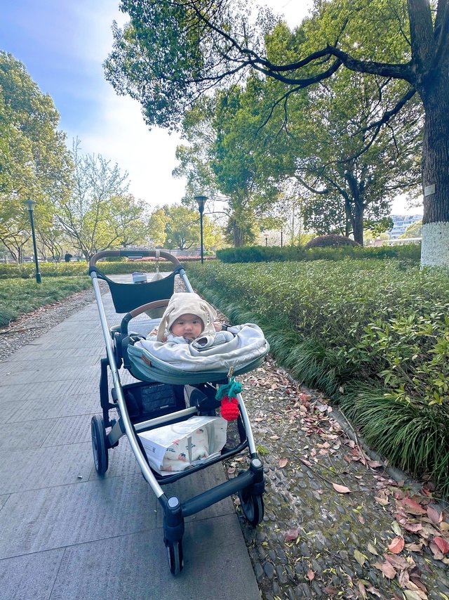 Uppababy Cruz一台入手不会后悔的婴儿车