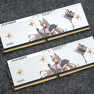 二次元装机好选择，玖合玲珑6800MHz DDR5内存