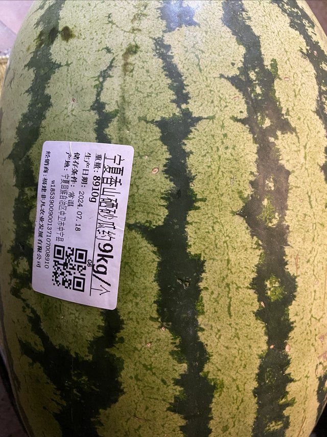 等待许久的宁夏硒砂瓜