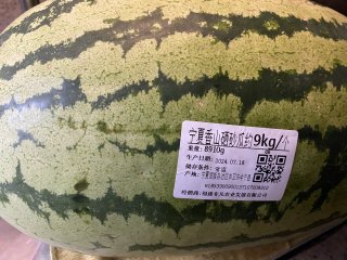 等待许久的宁夏硒砂瓜