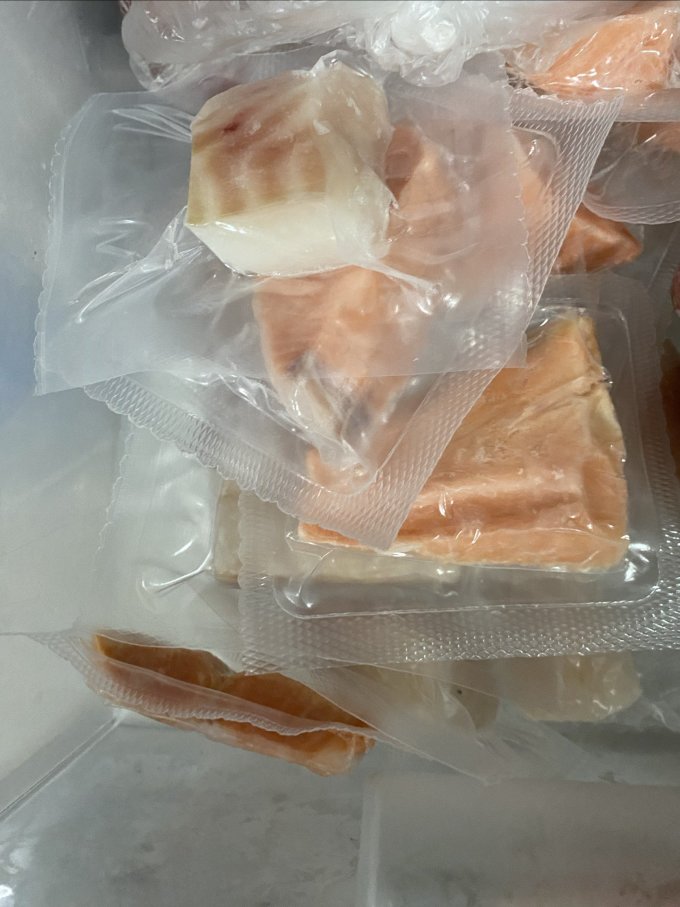 我爱渔鱼类