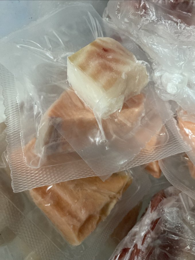 我爱渔鱼类