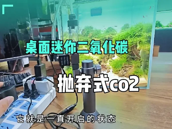 桌面迷你版二氧化碳，抛弃式co2,非常好玩，哈哈#草缸造景 #桌面草缸 #水族 #水草缸 #二氧化碳