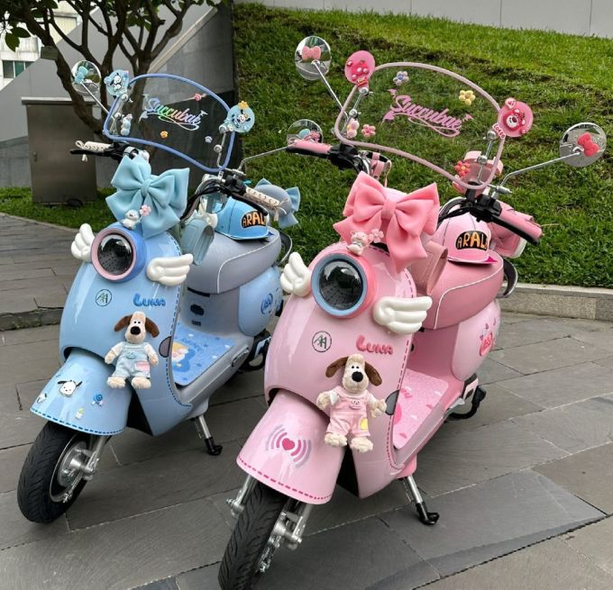 爱玛电动车整车