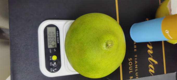 奶萝柚子