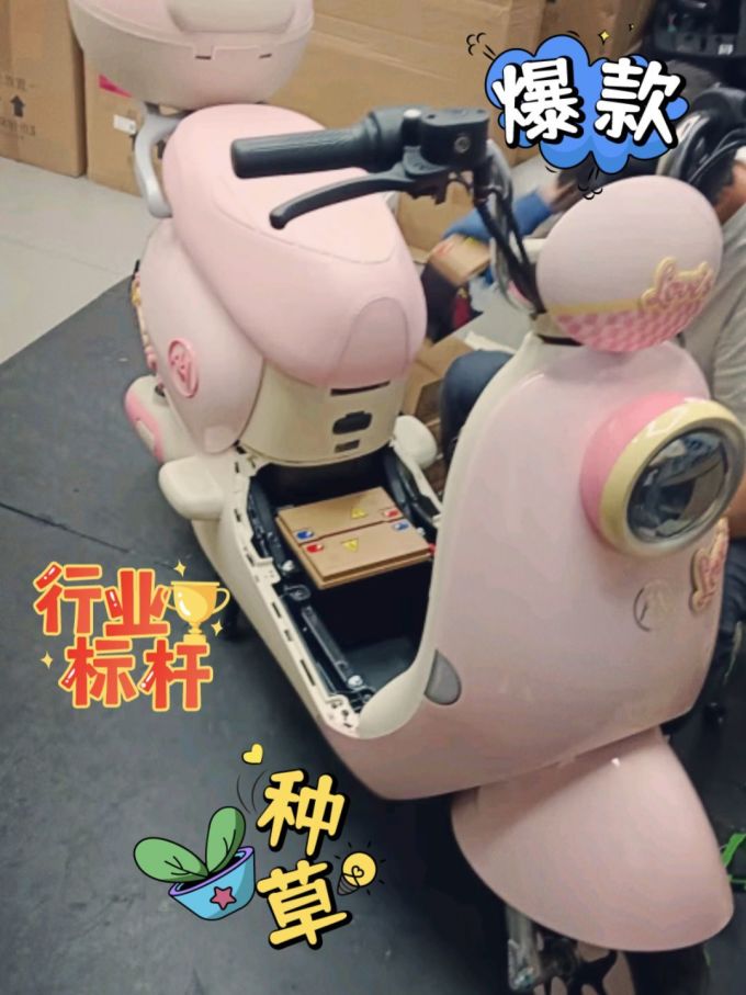 爱玛电动车整车