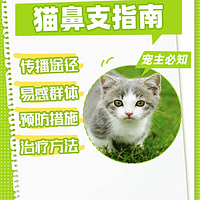 猫鼻支指南！