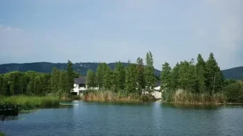 如果要选一座小城躺平生活，我举双手投她一票 