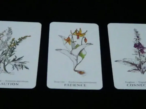 【大众占卜】心中牵挂的这个人，TA对你的看法 【大众占卜】心中牵挂的这个人，TA对你的看法 & 下一步发展（Timeless无时限）