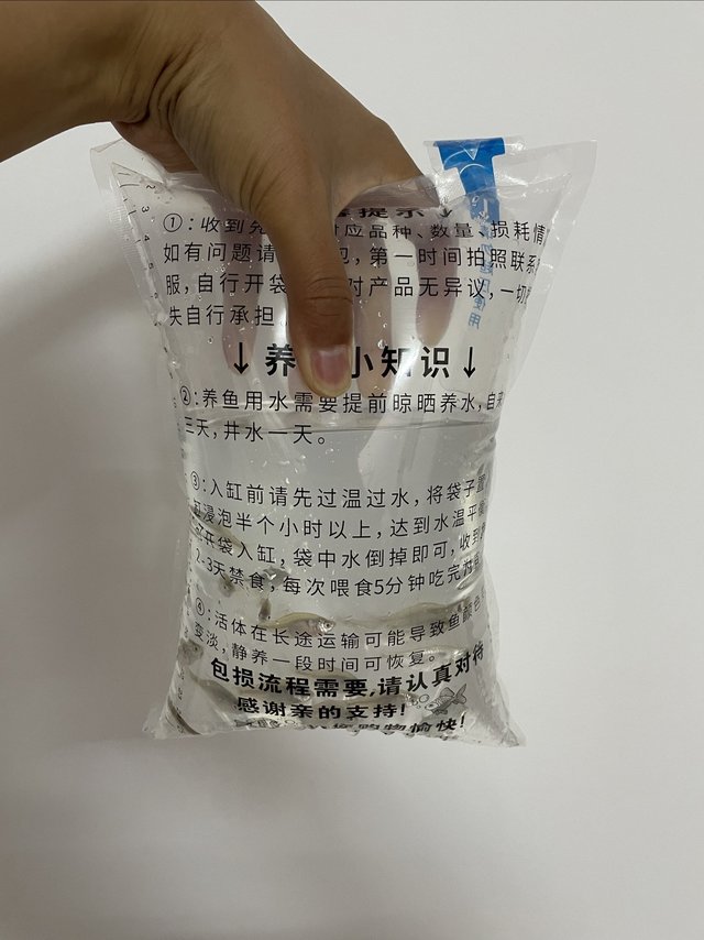 18条鳑鲏，不到一个月都挂掉了