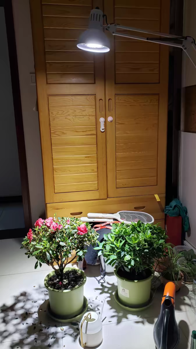史丹利园艺用品