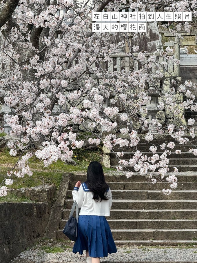 国外机票