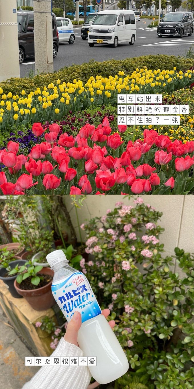 国外机票