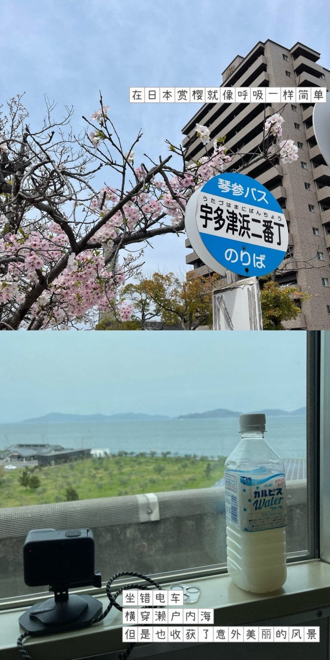 国外机票