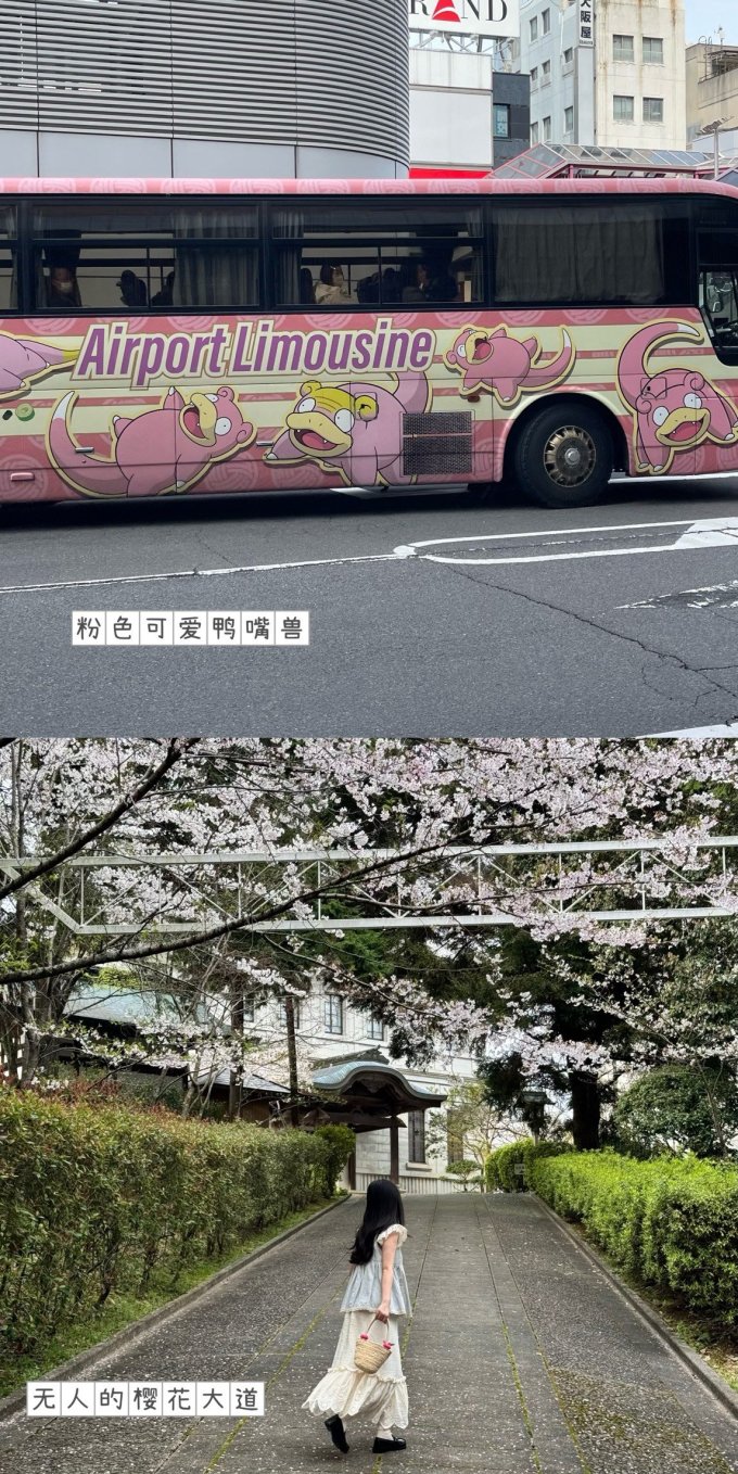 国外机票