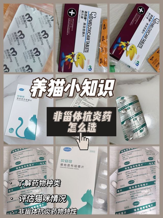 养猫小知识！！如何选择猫用非甾体类药物
