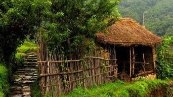 肯德基新品评测：口感与营养并存的秘密 