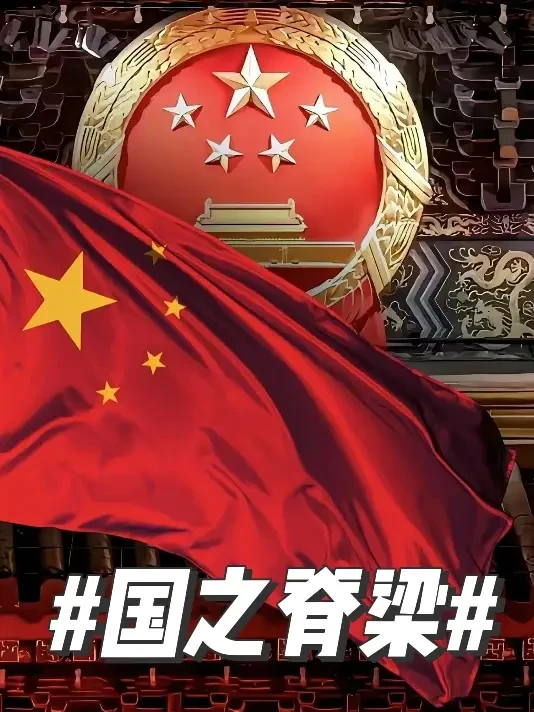#国之脊梁 #好书推荐 #中国力量 #国士无双