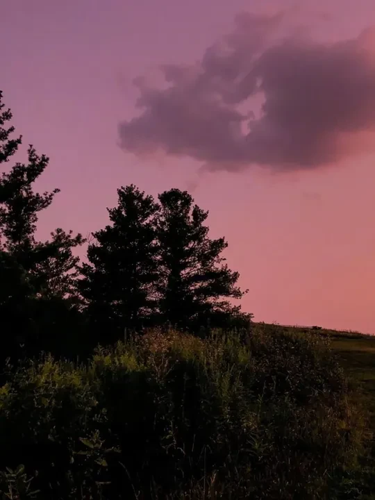 【骑士魔盒】GREENER/绿林小飞棘轮扳手套筒螺丝组套家用工具套装 