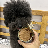 挑食狗狗也爱吃的皇家主食罐头🥫