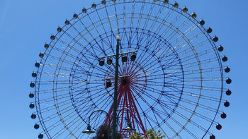 郑州海昌海洋公园，带娃探索神秘海洋，一票开启奇幻之旅 